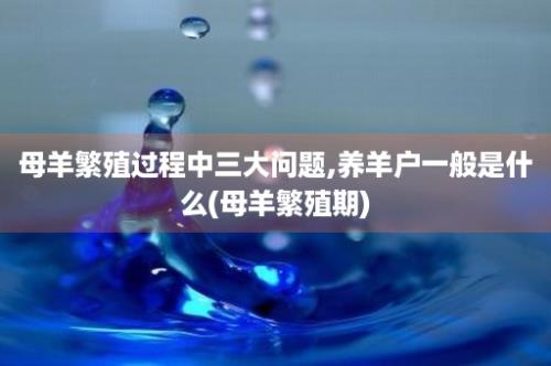 母羊繁殖过程中三大问题,养羊户一般是什么(母羊繁殖期)