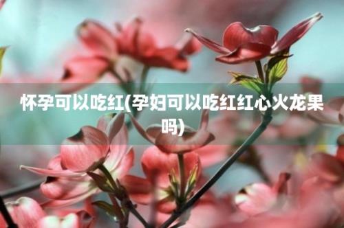 怀孕可以吃红(孕妇可以吃红红心火龙果吗)