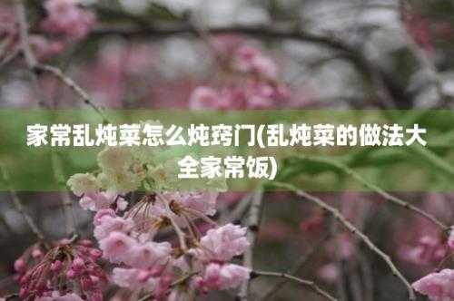 家常乱炖菜怎么炖窍门(乱炖菜的做法大全家常饭)