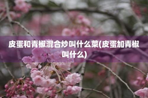 皮蛋和青椒混合炒叫什么菜(皮蛋加青椒叫什么)