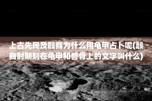 上古先民及殷商为什么用龟甲占卜呢(殷商时期刻在龟甲和兽骨上的文字叫什么)