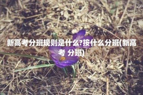 新高考分班规则是什么?按什么分班(新高考 分班)