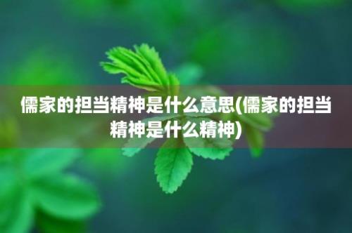 儒家的担当精神是什么意思(儒家的担当精神是什么精神)