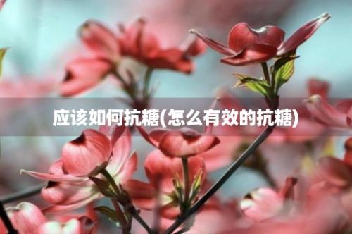 应该如何抗糖(怎么有效的抗糖)