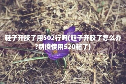 鞋子开胶了用502行吗(鞋子开胶了怎么办?别傻傻用520粘了)