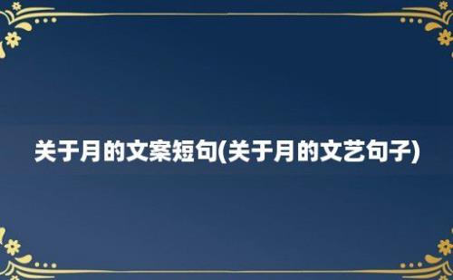 关于月的文案短句(关于月的文艺句子)