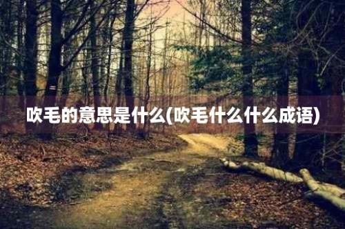 吹毛的意思是什么(吹毛什么什么成语)