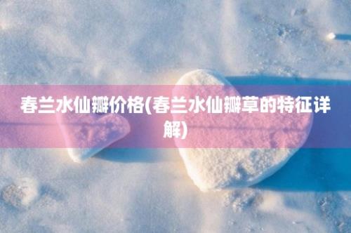 春兰水仙瓣价格(春兰水仙瓣草的特征详解)