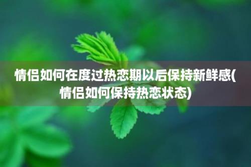 情侣如何在度过热恋期以后保持新鲜感(情侣如何保持热恋状态)