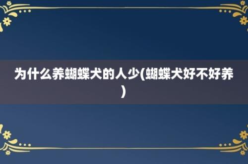 为什么养蝴蝶犬的人少(蝴蝶犬好不好养)