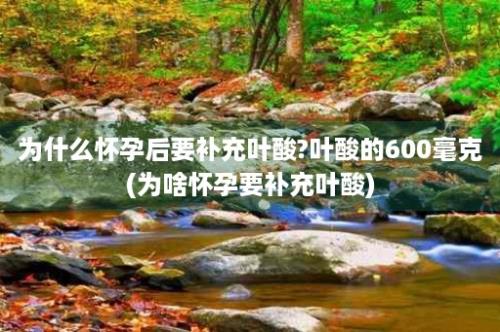 为什么怀孕后要补充叶酸?叶酸的600毫克(为啥怀孕要补充叶酸)