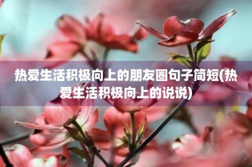 热爱生活积极向上的朋友圈句子简短(热爱生活积极向上的说说)