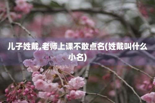 儿子姓戴,老师上课不敢点名(姓戴叫什么小名)