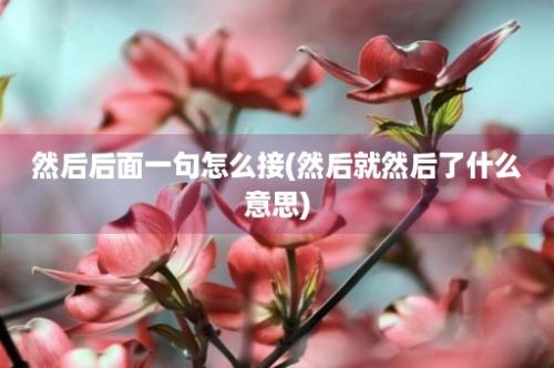 然后后面一句怎么接(然后就然后了什么意思)