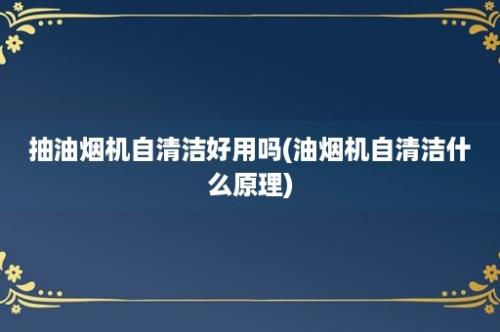 抽油烟机自清洁好用吗(油烟机自清洁什么原理)