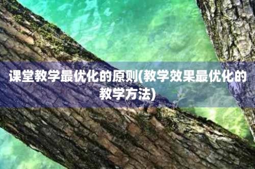 课堂教学最优化的原则(教学效果最优化的教学方法)