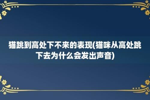 猫跳到高处下不来的表现(猫咪从高处跳下去为什么会发出声音)