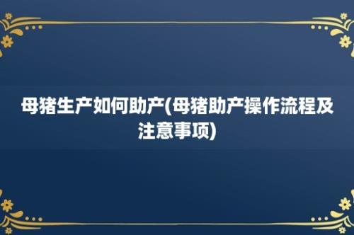 母猪生产如何助产(母猪助产操作流程及注意事项)