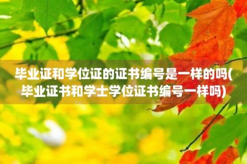 毕业证和学位证的证书编号是一样的吗(毕业证书和学士学位证书编号一样吗)