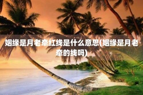 姻缘是月老牵红线是什么意思(姻缘是月老牵的线吗)