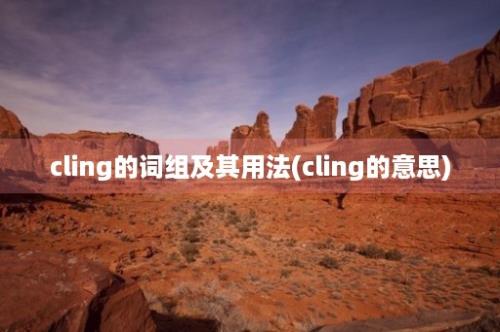 cling的词组及其用法(cling的意思)