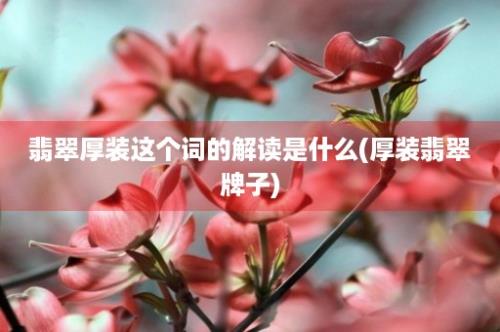 翡翠厚装这个词的解读是什么(厚装翡翠牌子)