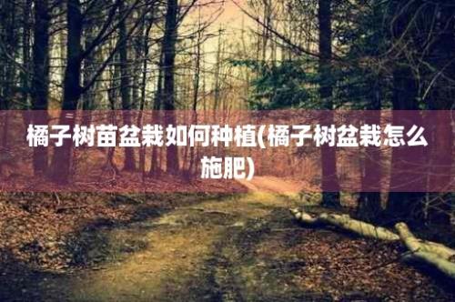 橘子树苗盆栽如何种植(橘子树盆栽怎么施肥)