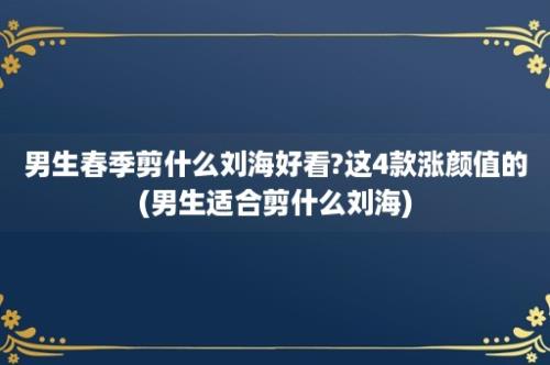 男生春季剪什么刘海好看?这4款涨颜值的(男生适合剪什么刘海)