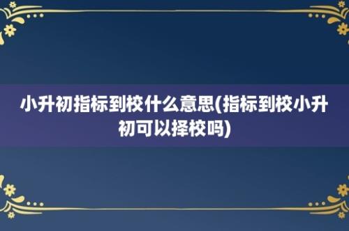 小升初指标到校什么意思(指标到校小升初可以择校吗)