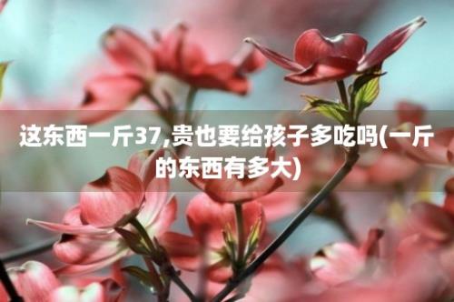 这东西一斤37,贵也要给孩子多吃吗(一斤的东西有多大)