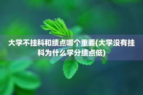 大学不挂科和绩点哪个重要(大学没有挂科为什么学分绩点低)