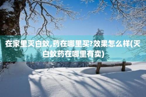 在家里灭白蚁,药在哪里买?效果怎么样(灭白蚁药在哪里有卖)