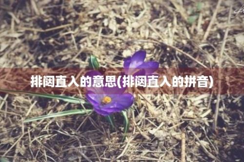 排闼直入的意思(排闼直入的拼音)