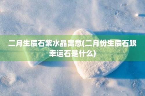 二月生辰石紫水晶寓意(二月份生辰石跟幸运石是什么)