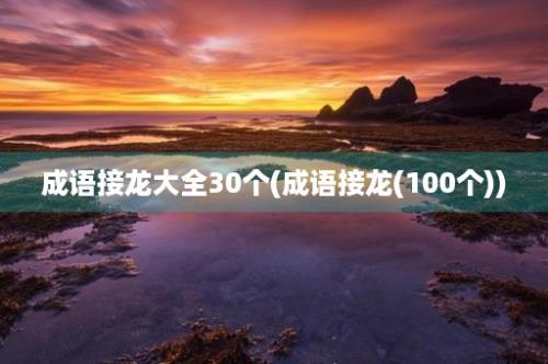 成语接龙大全30个(成语接龙(100个))