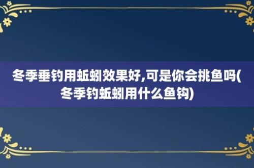 冬季垂钓用蚯蚓效果好,可是你会挑鱼吗(冬季钓蚯蚓用什么鱼钩)