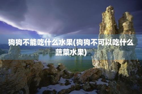 狗狗不能吃什么水果(狗狗不可以吃什么蔬菜水果)