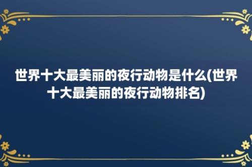 世界十大最美丽的夜行动物是什么(世界十大最美丽的夜行动物排名)