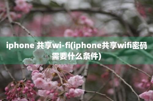 iphone 共享wi-fi(iphone共享wifi密码需要什么条件)