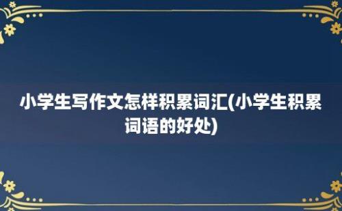 小学生写作文怎样积累词汇(小学生积累词语的好处)