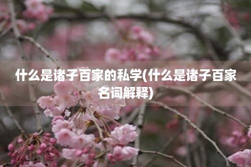 什么是诸子百家的私学(什么是诸子百家名词解释)