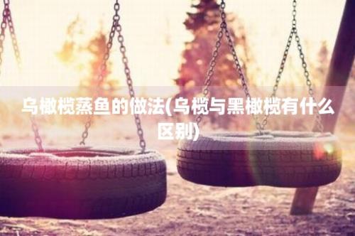 乌橄榄蒸鱼的做法(乌榄与黑橄榄有什么区别)