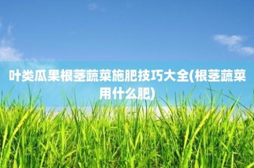 叶类瓜果根茎蔬菜施肥技巧大全(根茎蔬菜用什么肥)