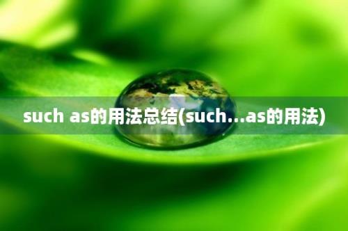 such as的用法总结(such...as的用法)