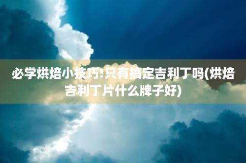 必学烘焙小技巧!只有搞定吉利丁吗(烘焙吉利丁片什么牌子好)