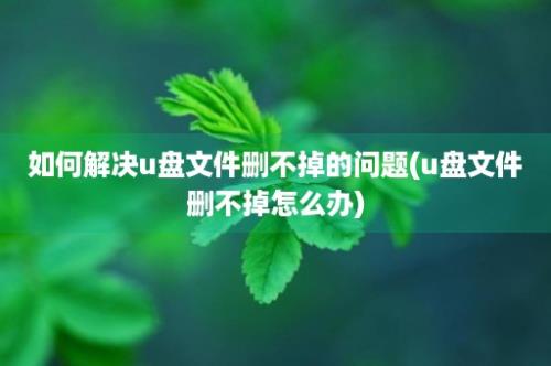 如何解决u盘文件删不掉的问题(u盘文件删不掉怎么办)