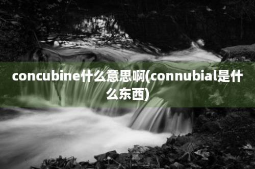 concubine什么意思啊(connubial是什么东西)