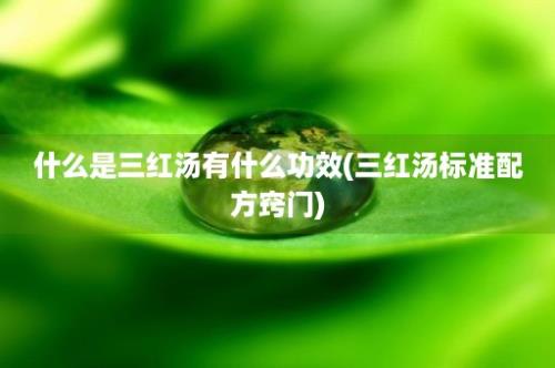 什么是三红汤有什么功效(三红汤标准配方窍门)