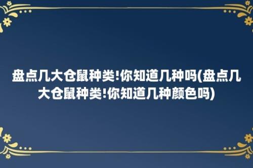 盘点几大仓鼠种类!你知道几种吗(盘点几大仓鼠种类!你知道几种颜色吗)