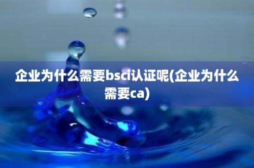 企业为什么需要bsci认证呢(企业为什么需要ca)